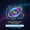 Telegram chat WALEBOTTLE234 logo