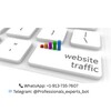 Telegram chat WebsiteTraffic logo
