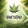 Telegram chat חיפה והסביבה logo