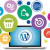 Telegram chat WordPressExperts logo