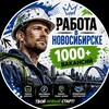 Telegram chat Работа в Новосибирске logo