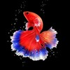cvv鱼料🐠cvv通道🐠cvv全球料🐠迪士尼门票 - Telegram Groups