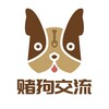 Telegram chat 赌狗社区-赛事直播-电竞体育-狗推群组 logo