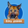 Telegram chat Хочу домой Хабаровск !!! logo