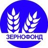 Telegram chat ЗерноФонд logo