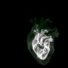 Telegram chat 🔉𝔃𝓱𝓭𝓲 𝓶𝓮𝓷𝔂𝓪 𝓽𝓪𝓶🫀 logo