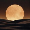 大月亮🌙美国夜班精英主导资源交流群 - Telegram Groups